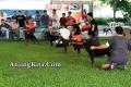 Klik untuk perbesar