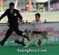 Klik untuk perbesar