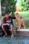 Manado Dog Show 2010
