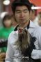 MKA International Dog Show