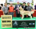 Klik untuk perbesar