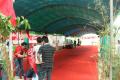 Doggie's Day Out Balikpapan 2010