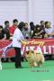 Klik untuk perbesar