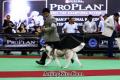 Klik untuk perbesar