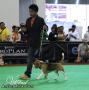 Klik untuk perbesar