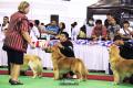 Klik untuk perbesar
