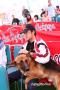 Klik untuk perbesar