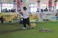 Klik untuk perbesar
