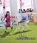 Klik untuk perbesar