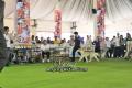 Semarang Dog Show 2011