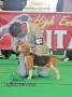 Klik untuk perbesar