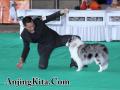 Klik untuk perbesar