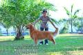 Klik untuk perbesar