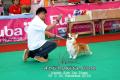 Klik untuk perbesar