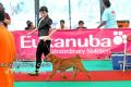 Klik untuk perbesar