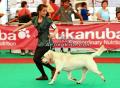 Klik untuk perbesar