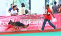 Klik untuk perbesar