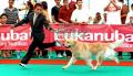 Klik untuk perbesar