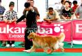 Klik untuk perbesar