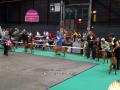 Klik untuk perbesar