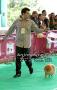 Klik untuk perbesar