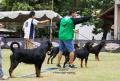 Klik untuk perbesar
