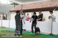 Palembang Perdana All Breed