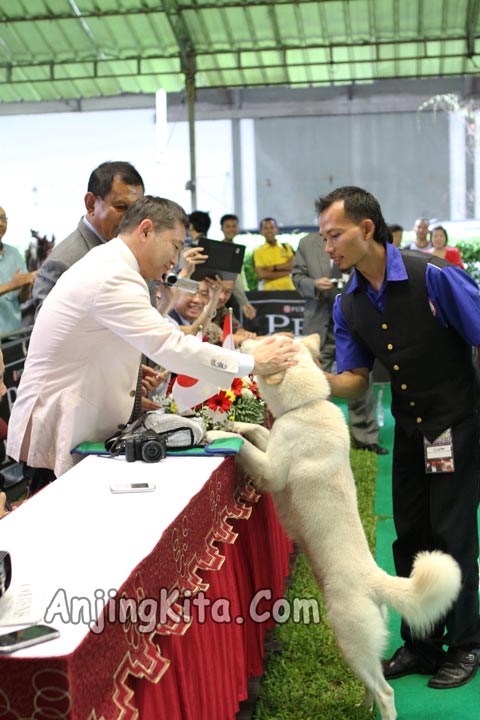 Pamnas Anjing Kintamani 2012