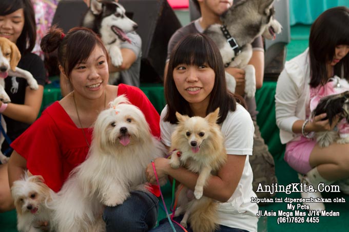 Dogs Valentine Party With My Pets