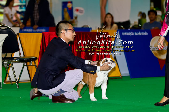 Thailand International Dog Show 2012