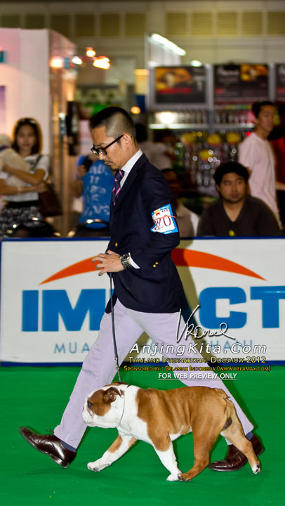 Thailand International Dog Show 2012