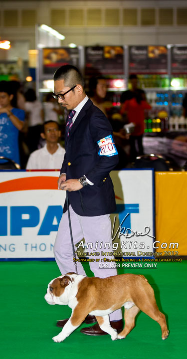 Thailand International Dog Show 2012