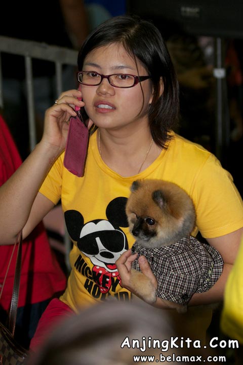 Thailand International Dog Show 2012