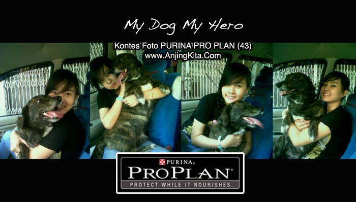 Kontes Foto 