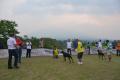 Foto Anjing pada Pameran & Acara Tahun 2012