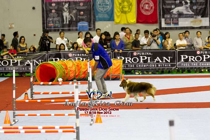 Pameran Anjing Perkin Jaya 17 & 18 Nov 2012