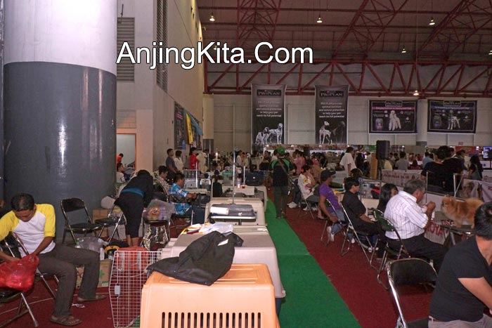 Pameran Anjing Perkin Jaya 17 & 18 Nov 2012