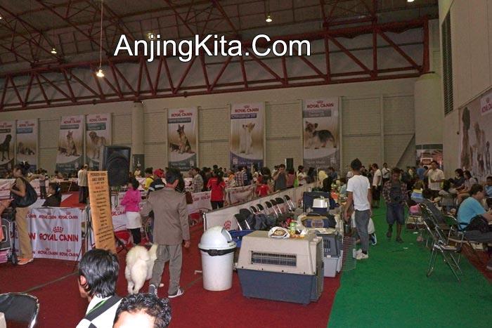 Pameran Anjing Perkin Jaya 17 & 18 Nov 2012