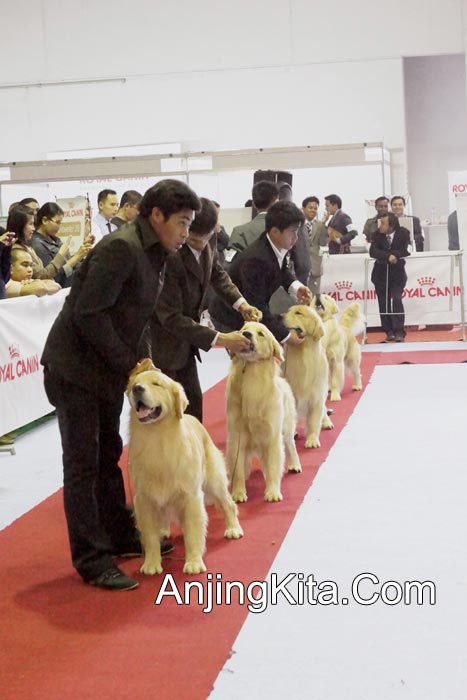 Pameran Anjing Perkin Jaya 17 & 18 Nov 2012