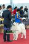 *Pameran & Gathering Tahun 2013