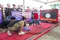 Klik untuk perbesar