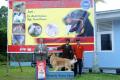 Pekanbaru Dog Show 2013