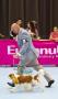 Perkin Jaya All Breed Dog Show 2013 : Jakarta Royal Show