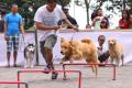 Klik untuk perbesar