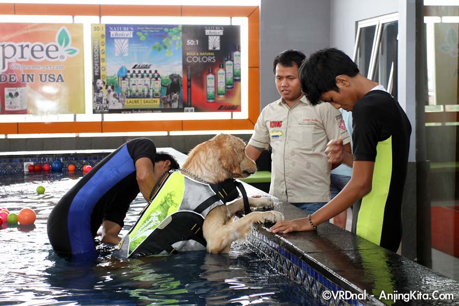 Pet Station Pluit