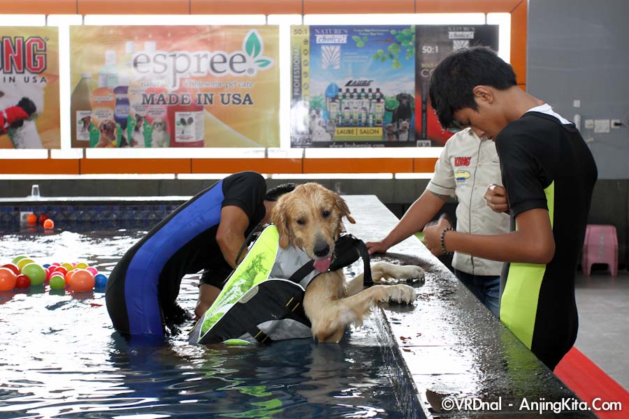 Pet Station Pluit