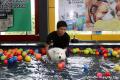 Pet Station Pluit