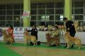 Klik untuk perbesar