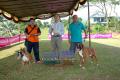 Pameran Back to Back Dobermann of the Year Boxer & Mini Pincher Specialty