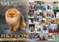 20131222 Pomindo Kennel - Suherman Hartanto